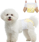 Pet Soft disposable diapers female with 360° stretch waist for easy wear.