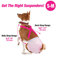 Pet Soft dog suspenders metal clip replacement included for quick, secure diaper grip.