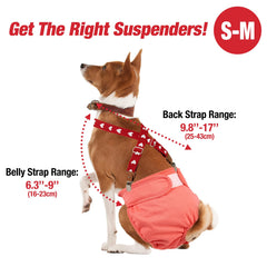 Pet Soft dog suspenders replaceable metal clips for quick maintenance.