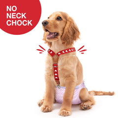 Pet Soft dog suspenders soft-stretch webbing for comfortable all-day wear.