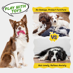 Pet Soft no-stuffing dog toy keeps play clean and mess-free