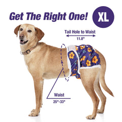 Pet Soft durable fabric and wide tape ensure secure, comfortable wear.