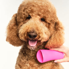 Pet Teezer detangling brush in action on a long-haired dog