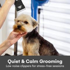 Pet Union Grooming Scissors and Guards for precise trimming and shaping