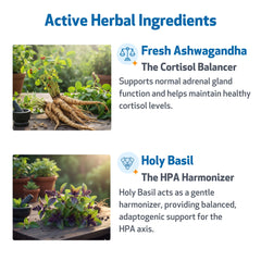 Pet Wellbeing Adrenal Harmony Gold label highlighting herbal ingredients for vitality and balance.