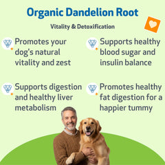 Pet Wellbeing Dandelion Root for Dogs dropper allows precise dosing
