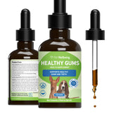 Pet Wellbeing Healthy Gums for Dogs bottle, promoting oral health and fresh breath.