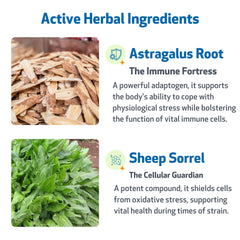 Pet Wellbeing Life Gold for Dogs label highlights astragalus and sheep sorrel.