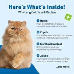 Pet Wellbeing Lung Gold for Cats featuring reishi ingredient for respiratory wellness.