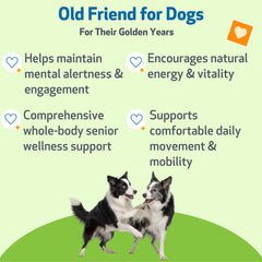 Pet Wellbeing Old Friend pour shot illustrating easy daily serving for energy