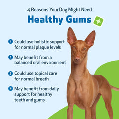 Pet Wellbeing Organic herbs ingredients label close-up for gum care.