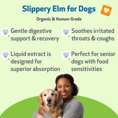 Pet Wellbeing Slippery Elm label closeup highlighting organic single herb extract.