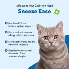 Pet Wellbeing Sneeze Ease liquid dropper poised for precise cat dosing.