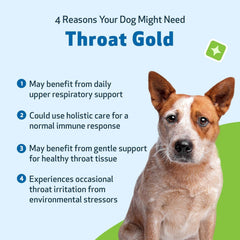 Pet Wellbeing Throat Gold dropper enables easy, precise dosing for dogs