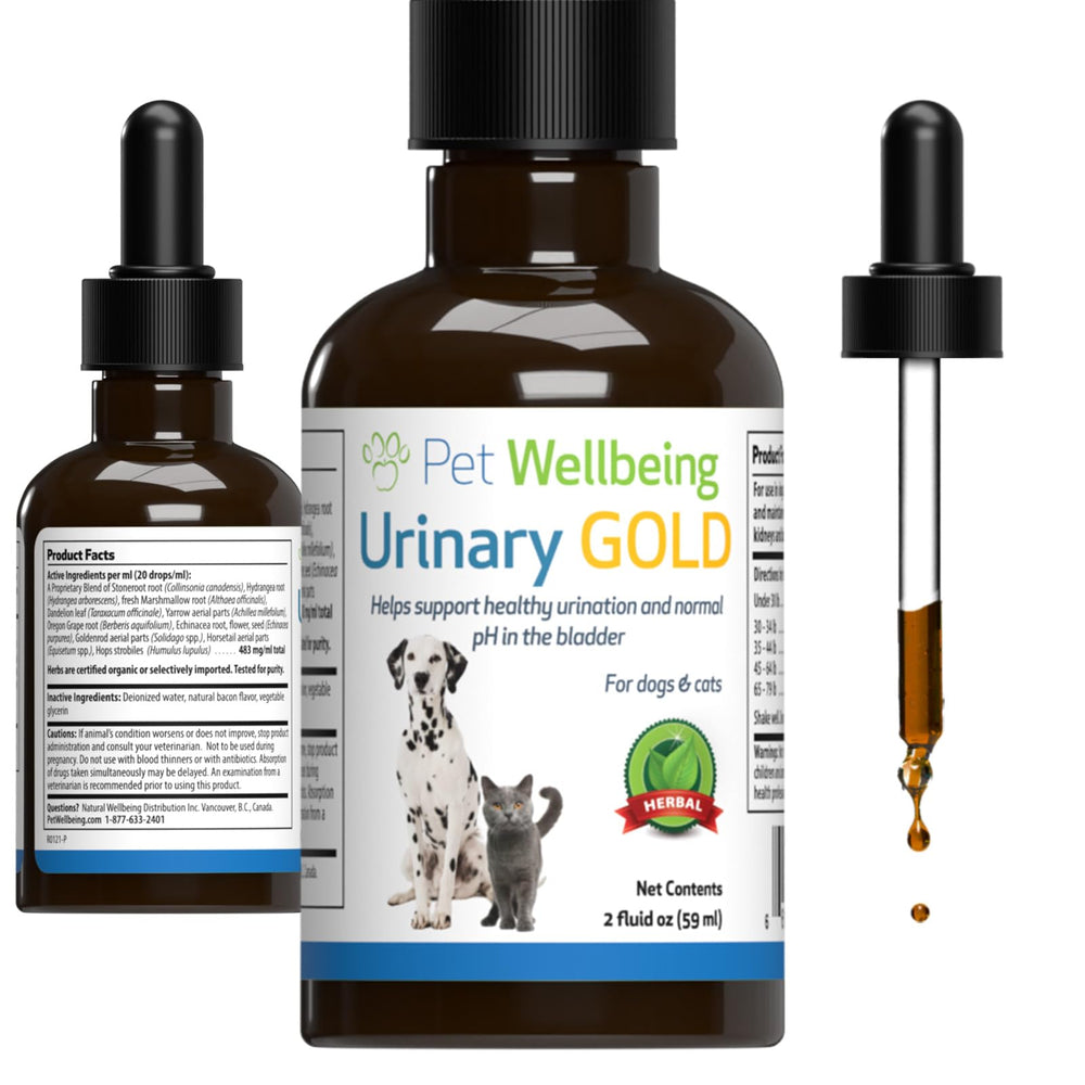 Pet Wellbeing Urinary Gold bottle close-up, vet-formulated urinary support for cats.