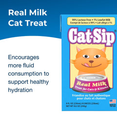 PetAg Cat-Sip kittens drinking scene, supports hydration and palatable nutrition
