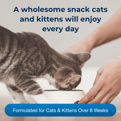 PetAg Cat-Sip Real Milk Treat close-up texture, creamy and smooth
