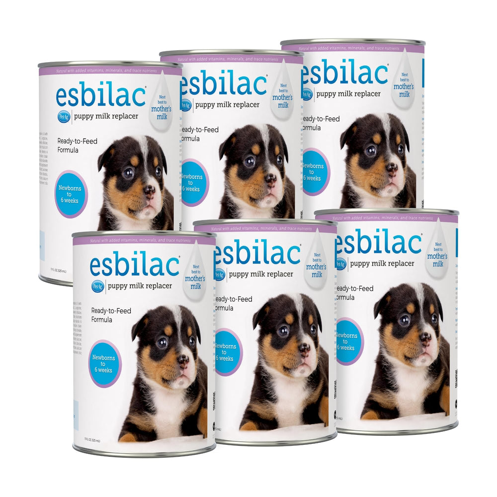 PetAg Esbilac six-pack bottles, ready-to-feed puppy milk replacer for newborns.