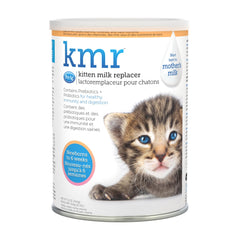 PetAg KMR kitten milk powder 12oz for newborns, ready as a nutritional supplement.
