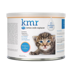 PetAg KMR kitten milk replacer powder can (6 oz) for essential newborn nutrition