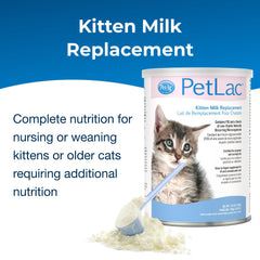 PetLac kitten milk preparation being mixed for feeding