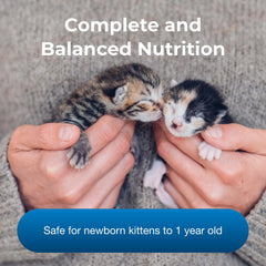 PetLac kitten milk served in a bowl during a feeding session