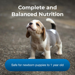 PetLac prebiotics and probiotics support gentler digestion and gut comfort.