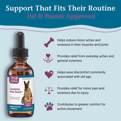 PetAlive ComfyPet Pain Relief Drops near a cat at play indicating ongoing activity