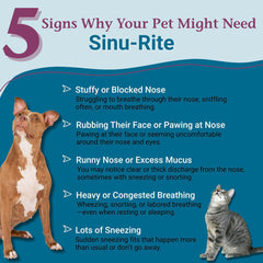 PetAlive Sinu-Rite tablets close-up, easy to administer on moist food.