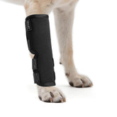 Petanims front leg brace provides carpal stabilization for dogs during daily activities
