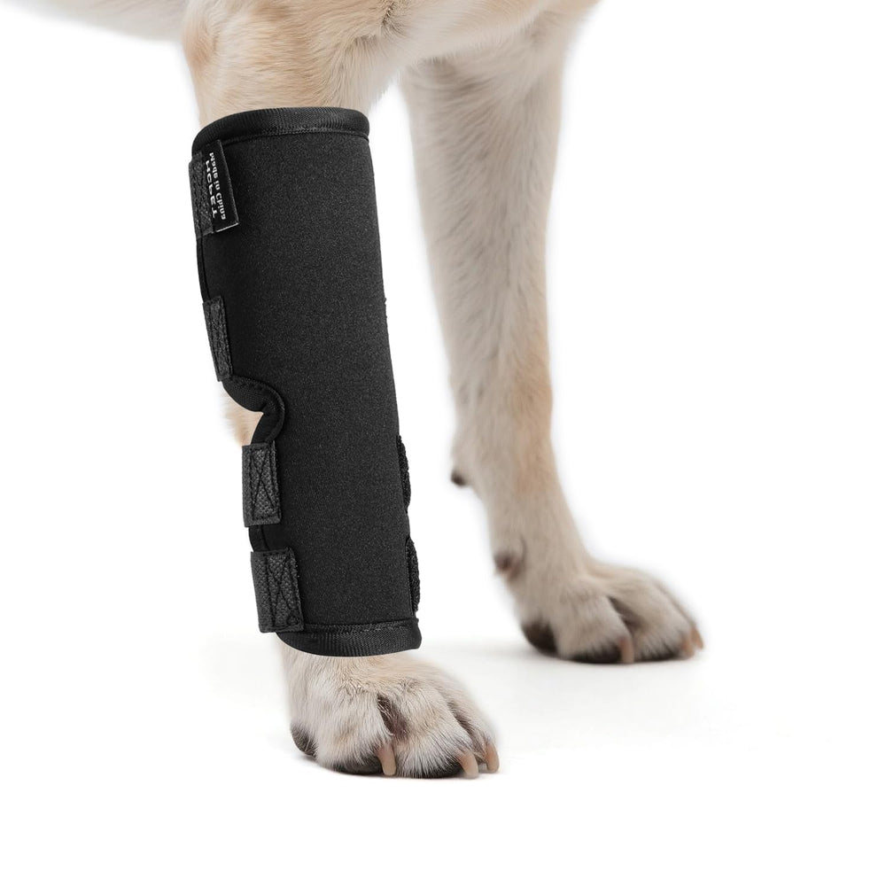 Petanims front leg brace measuring circumference for accurate fit and comfort.