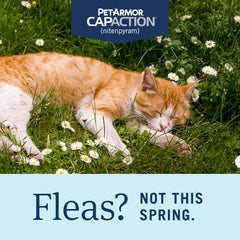 PetArmor CAPACTION tablet closeup highlighting a fast-acting flea solution for cats.