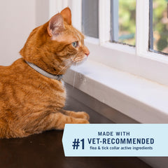 PetArmor Extend cat collar features water-resistant design for wet days