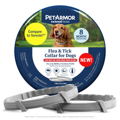 PetArmor Extend collar worn by a large dog for lasting protection