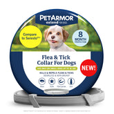 PetArmor Extend collar on a small dog providing long lasting protection
