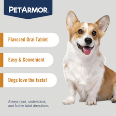 PetArmor small-dog enjoying chew, convenient dosing fits mealtime.