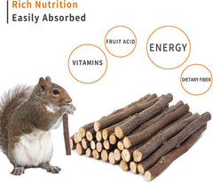 Rabbit chewing Petawi Apple Sticks for dental exercise.