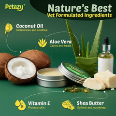 Dog paw being treated with Petazy balm during outdoor walk
