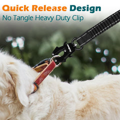 PetBonus Bungee Leash Extension showing shock absorbing design for smoother pulls