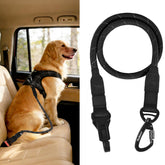 PetBonus secure-clip demonstrates a sturdy latch for safe car rides.
