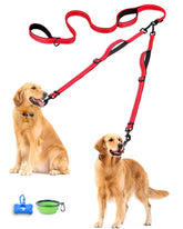 PetBonus double dog leash with no-tangle swivel clip for smooth walks