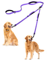 PetBonus double dog leash with 360 swivel reduces tangling during two-dog walks