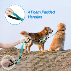 PetBonus leash with reflective stitching for safer nighttime visibility.