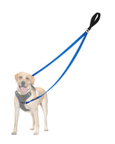 PetBonus Two Point Control Leash with dual clips guiding front control for easy walking.