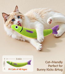 PetBusy cute fish design ideal for hugging, kicking, and chasing.