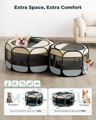 Petcozife two tents setup shows versatile layout for rest and play