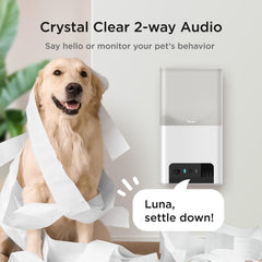 Petcube Bites 2 Lite treat dispenser delivering snacks remotely