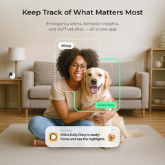 Petcube Cam 360 night vision captures clear footage after dark.