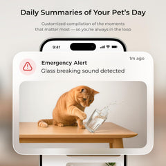 Petcube Cam 360 two-way audio lets you speak to pets remotely.