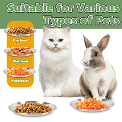 Petdream dishwasher-safe bowls simplify cleaning after dry kibble or wet food.
